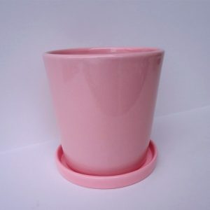 Maceta rosada lisa con plato