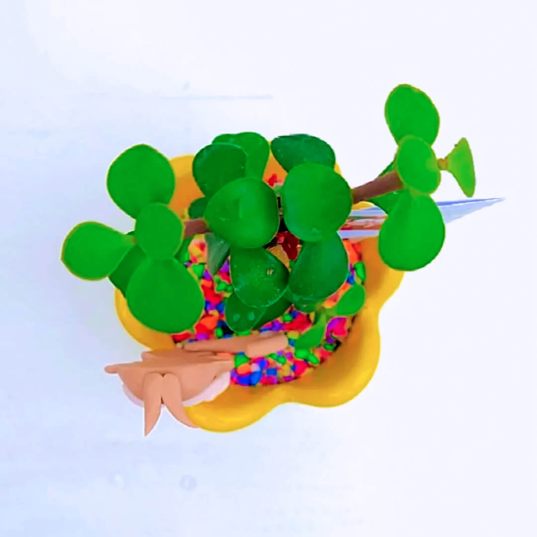 Suculenta maceta flor - Imagen 4