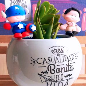 Suculenta maceta redonda mediana con frase grabada + 2 pines