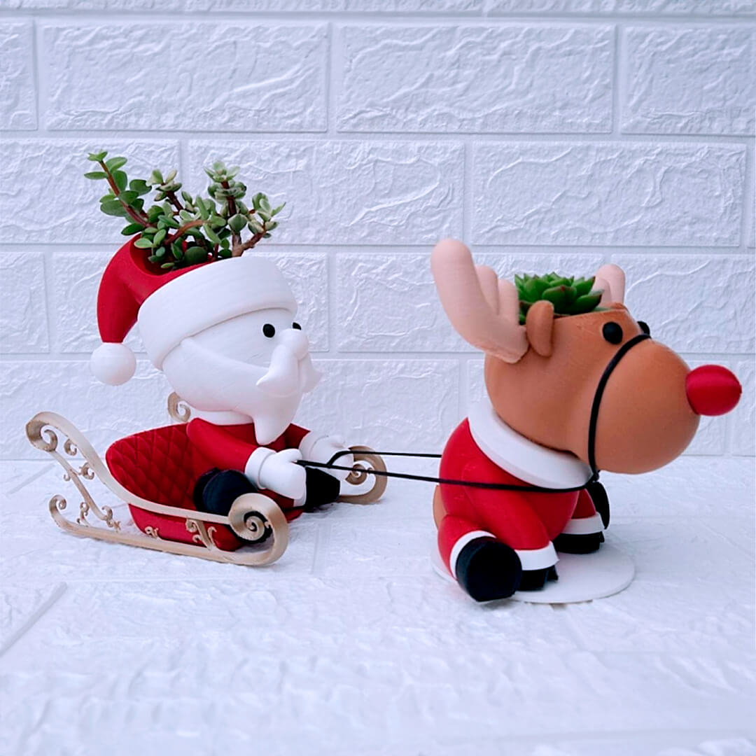 Suculenta trineo navideño